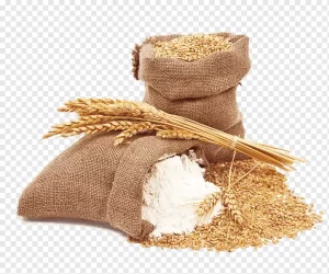 wheat.webp
