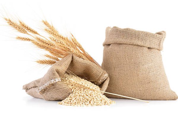 wheat.jpg